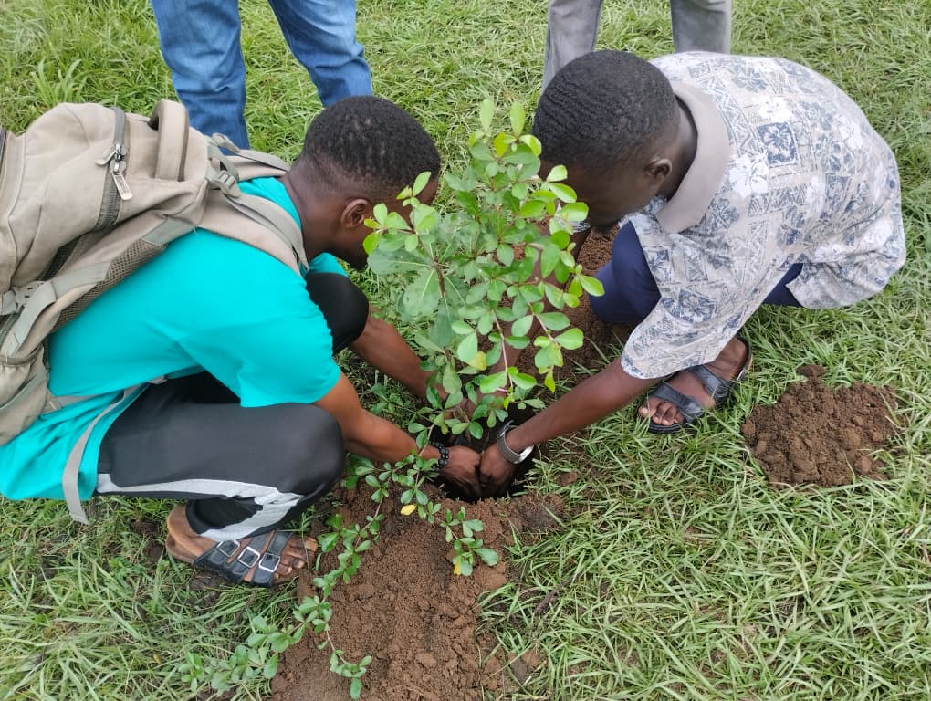 Monitoring and Evaluation